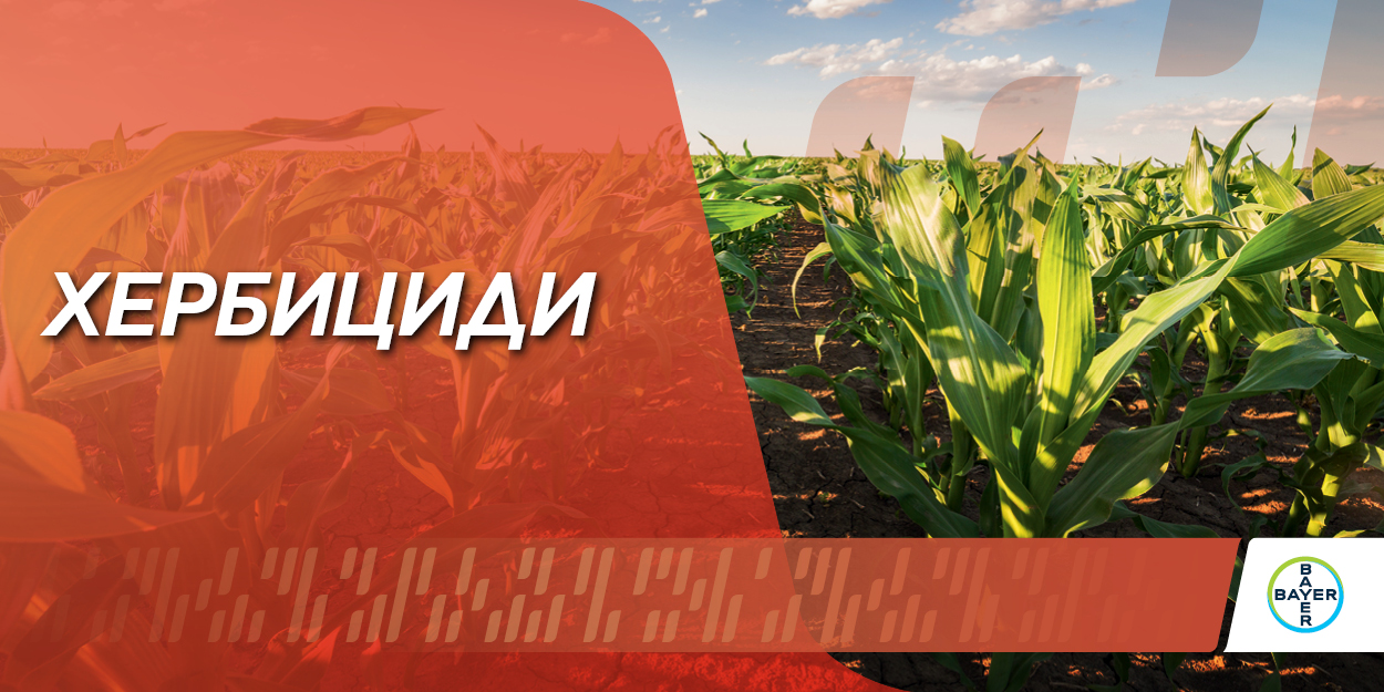 Банер Хербициди